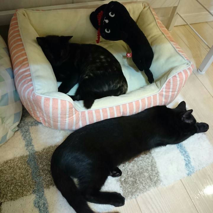 D8b6be9a a163 418a b63d 38b7eec9807c