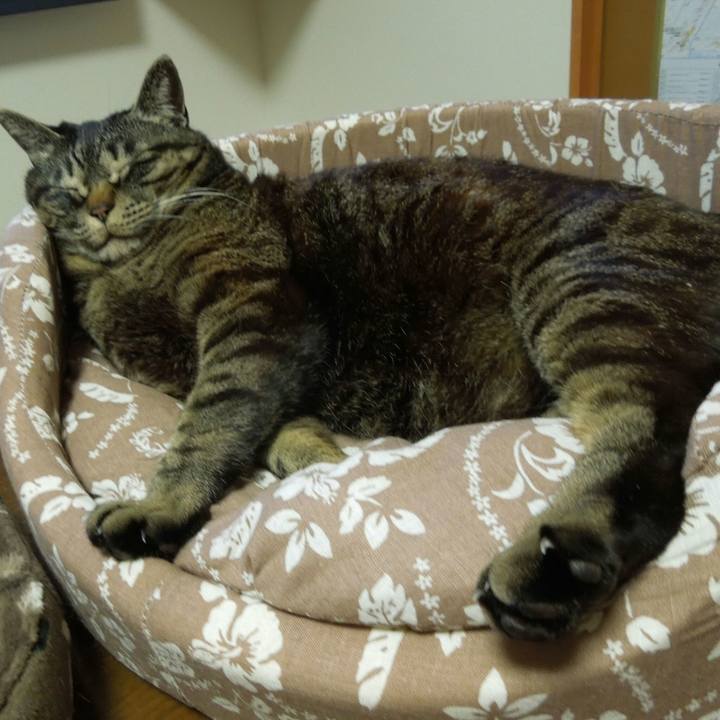 D8b8542a 802e 440b b025 b2884587c176