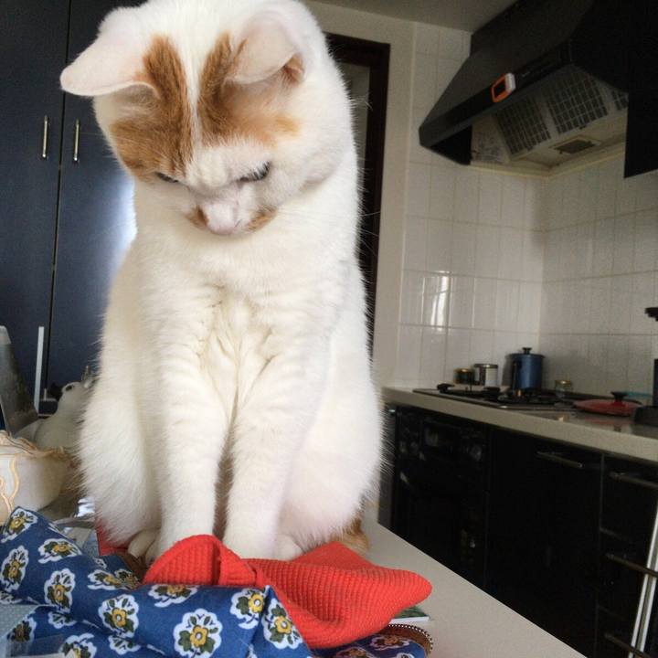 D8b98981 e4a7 4f2b bfe1 8fe452803370