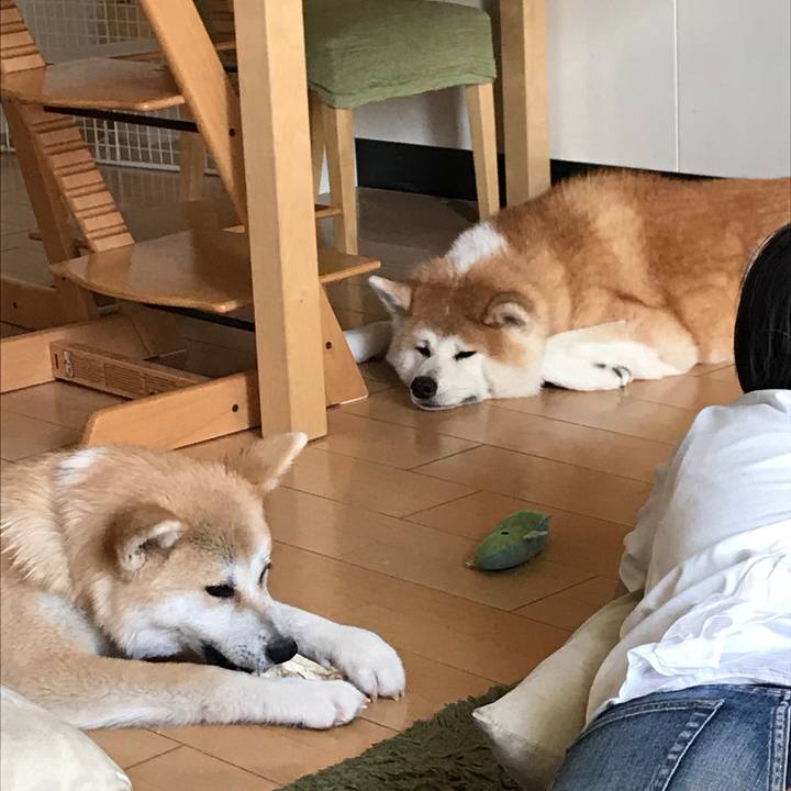 D8ba24b9 c152 449f 904e 9219efe84542