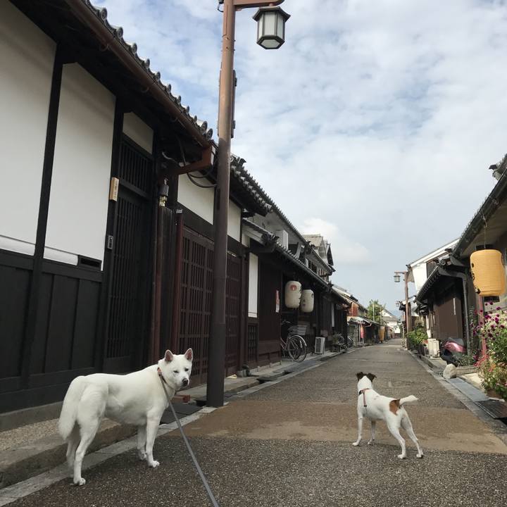 D8ba63ca 806a 4a76 aa18 0ddce01df6dc