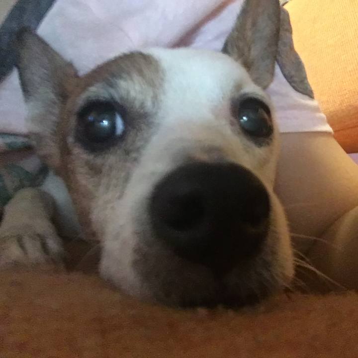 D8ba9932 268d 49b0 a88a 6d0b858df2a3