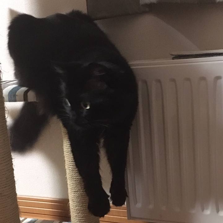 D8baa116 1764 4b76 a1dd 506107c79155