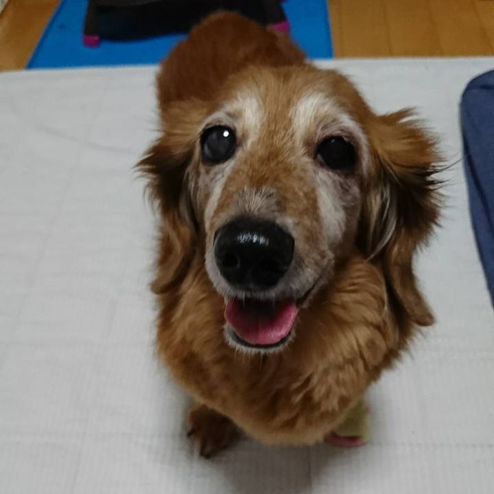 D8bc2ec0 e25c 465c 8e57 e4d36472970b