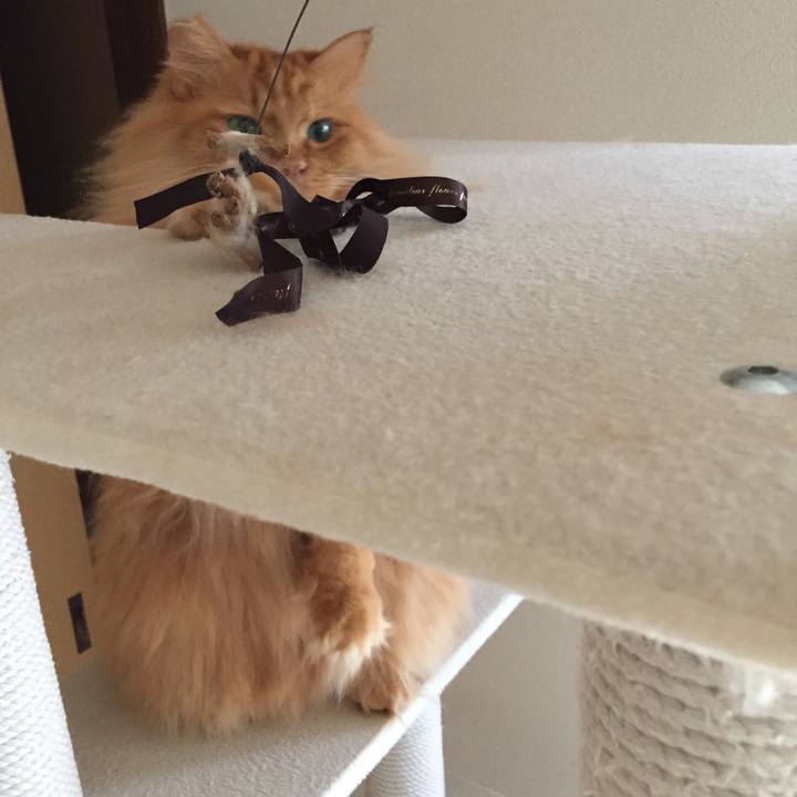 D8bc43e2 a374 4edf b056 c890e1862edc