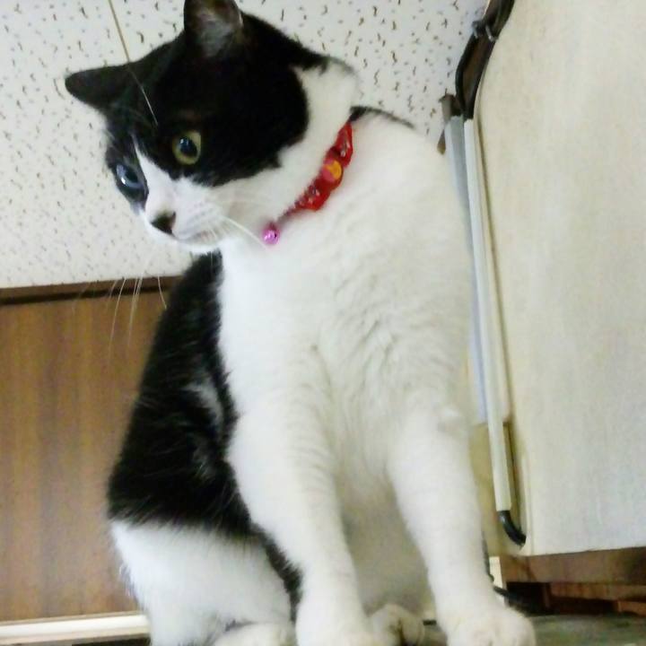 D8bc9da3 fc7b 4f4b 8d37 7be06fd6a1d3