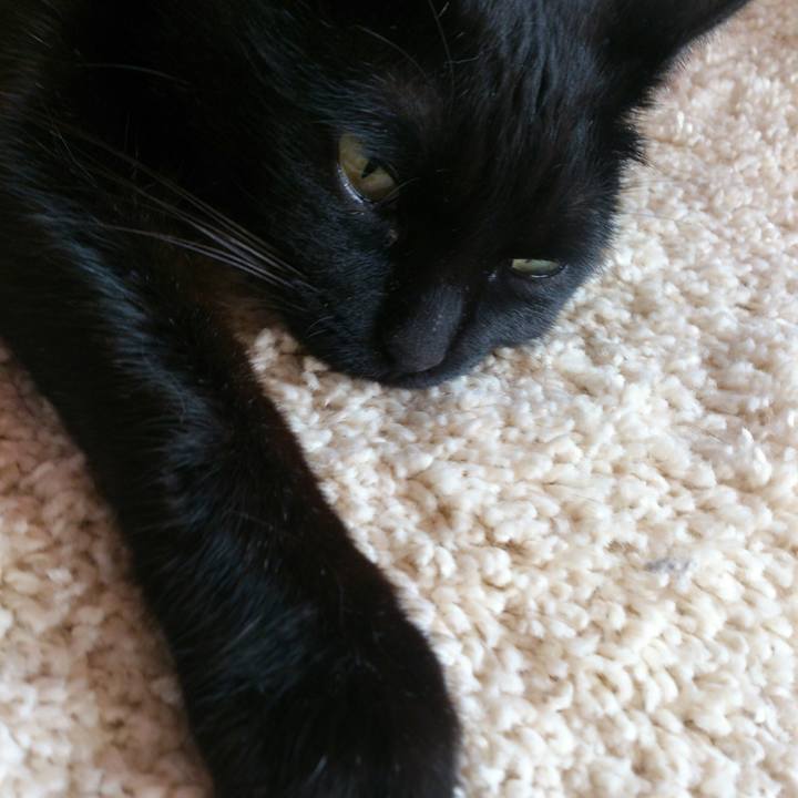 D8bccfdd d5f9 41e9 ac13 91c85c85c311