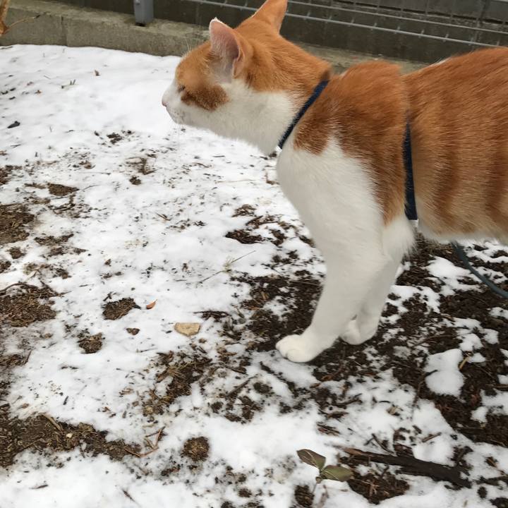 D8bcdbf1 3d7b 4698 a9e5 221cc241258e