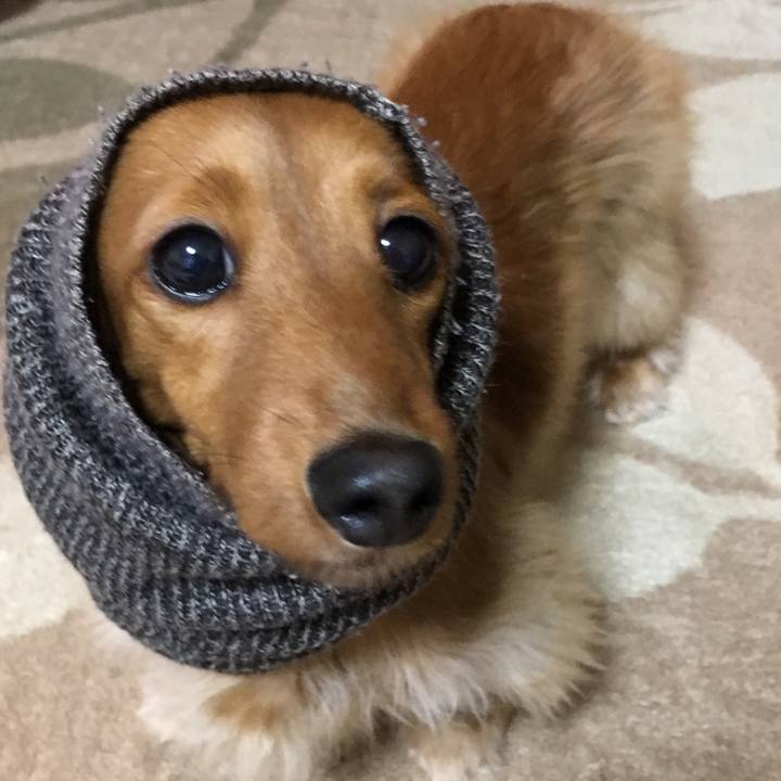 D8bd01dc 3870 48f1 a5e7 1790259ef83f