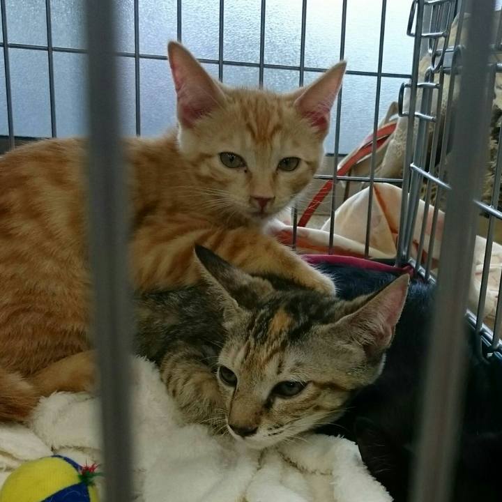 D8bd1101 0db0 46ef 99e5 302615f225ee