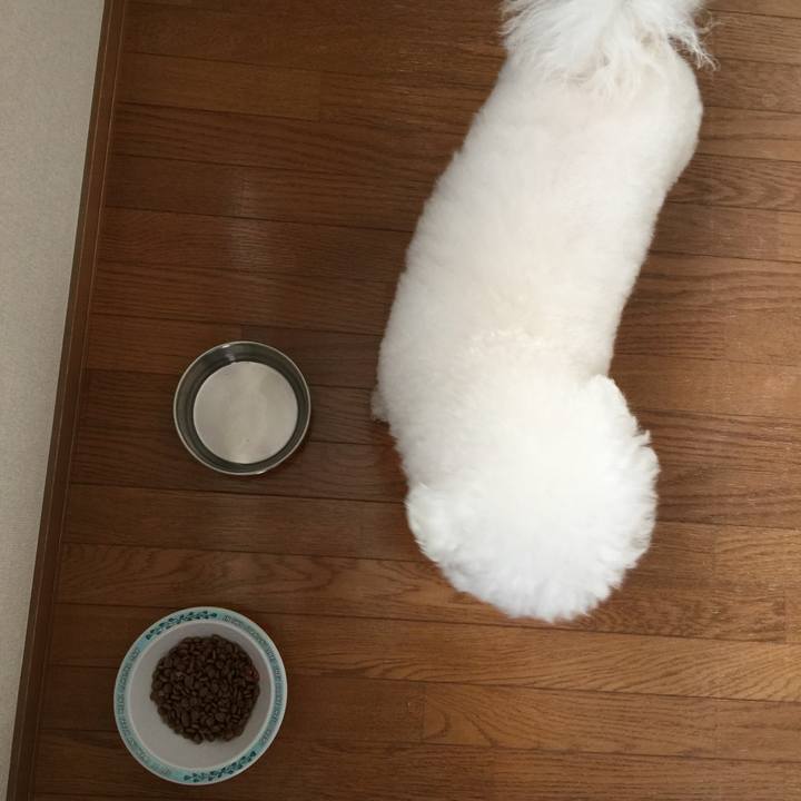 D8bd50bc 0b17 4df6 989b 11d4c0c26e7c