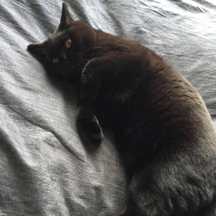 D8be1fd9 61a1 4a4d 82a7 14409aef6e85