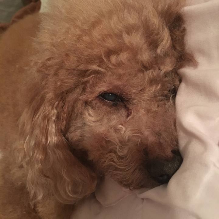 D8beabe1 064c 424e 8382 b1dfc9c897e7