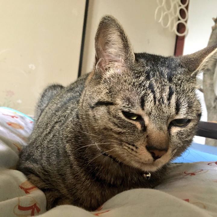 D8becb94 15e7 40c6 aa6f 4e0d406d25b9