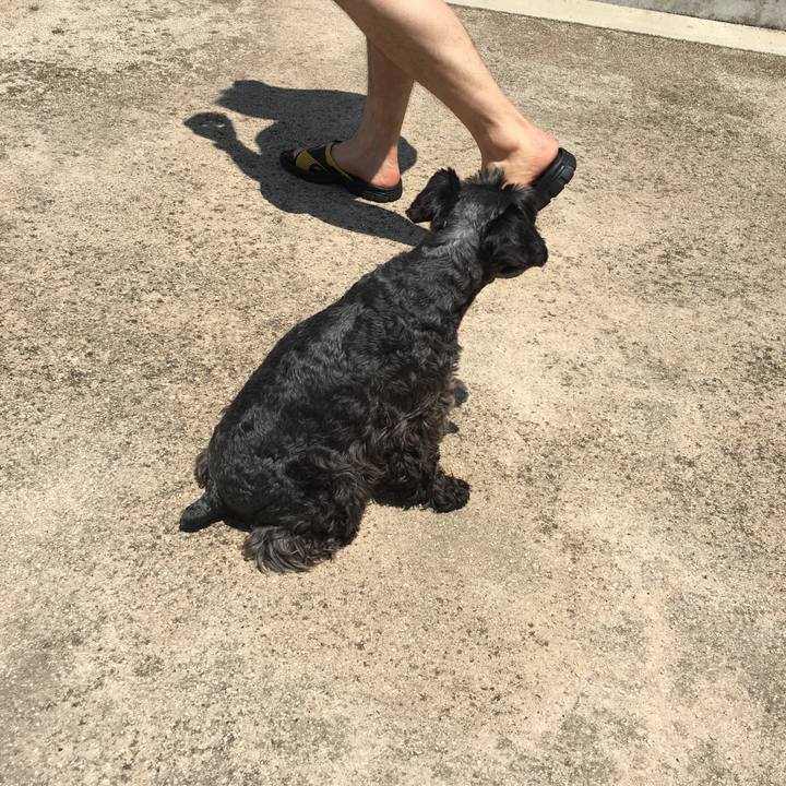 D8bee564 04eb 4df1 b374 abe8dd3e8a29