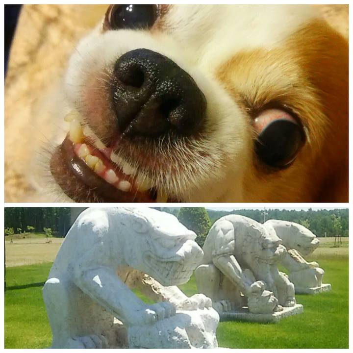 D8bf01a1 2523 4bc8 82f7 15b1784020ef