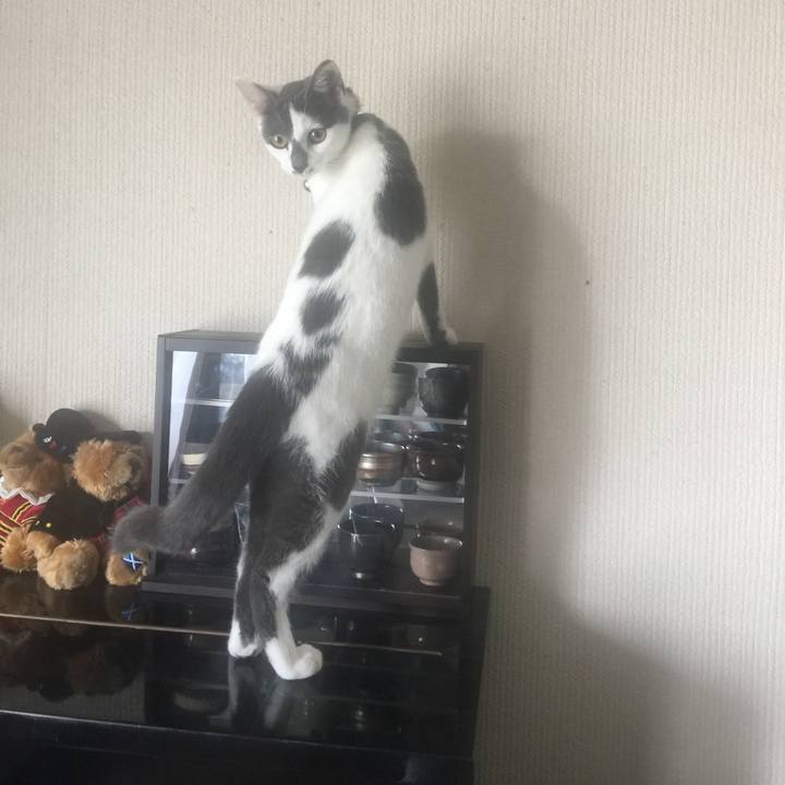 D8bfa529 db2d 4adb a742 deda12f535f8