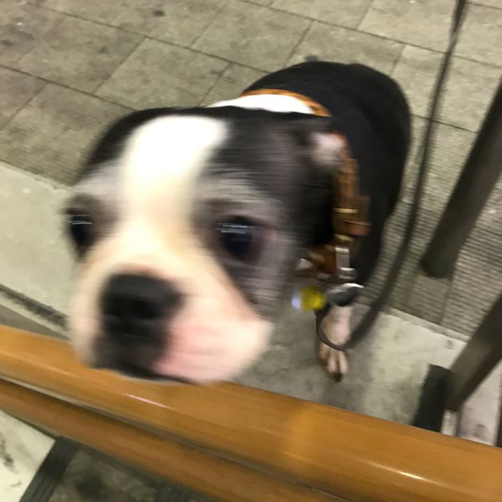 D8c0429a aabc 47fa 878e c62dfec5414b