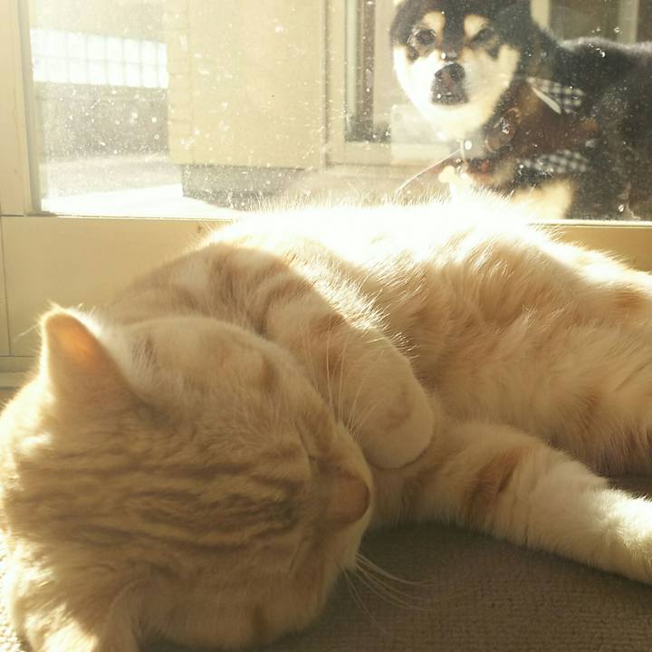 D8c0ae9a bed7 4f93 9cab 4f19dbaaf847