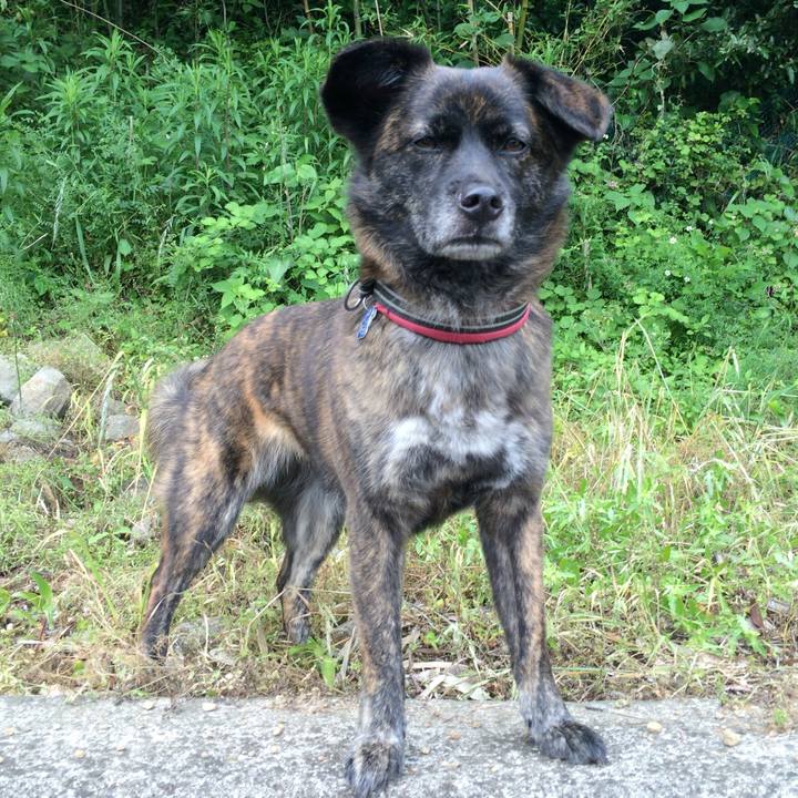 D8c0c574 c015 4c0f a569 3ee59ffd44e0