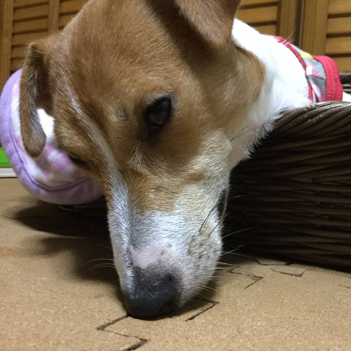 D8c11d32 9b3d 470f b470 13fb26d985a8