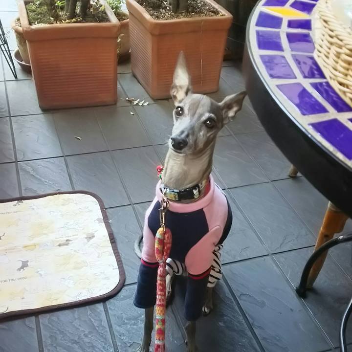 D8c1dc57 73eb 4ee0 b180 2c8b05767541