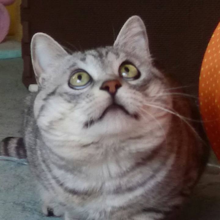 D8c33fec a574 4d16 821d 52d357ad5a14