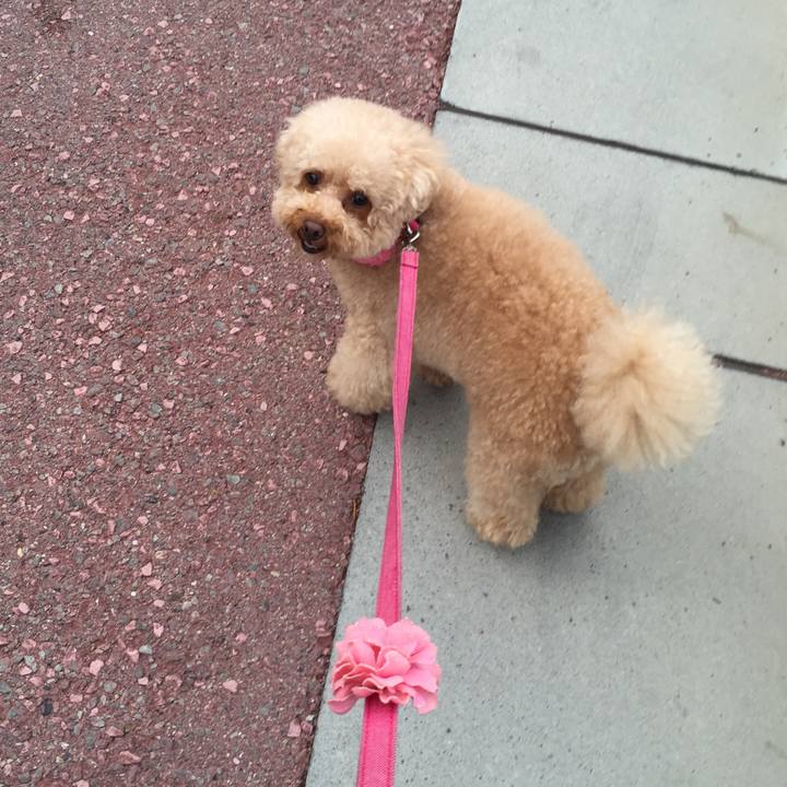 D8c3ce12 30cb 4c1e adc1 d27e7004d407