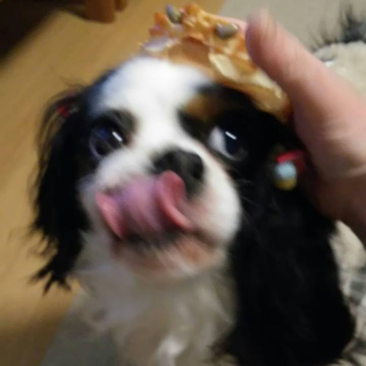 D8c48f2b 348b 4059 9f50 49b2d2b7de3e