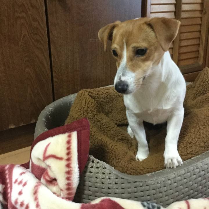 D8c49603 9ecf 4e51 a603 3ec70d8e94be