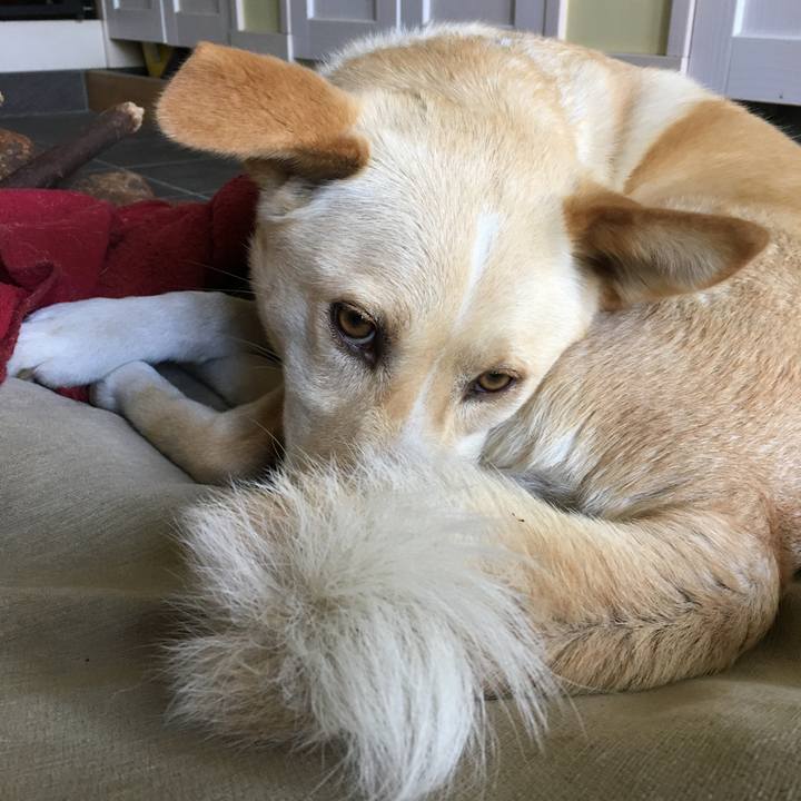 D8c4ab8c 79ad 4c10 911c ecfc557dd0aa