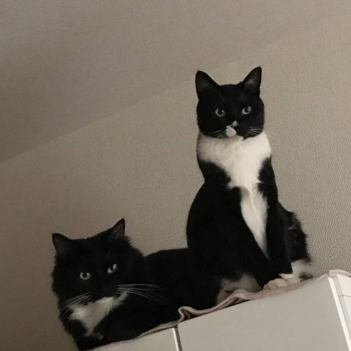 D8c4c91c 4dcb 454c bd97 ecf51287dc4d