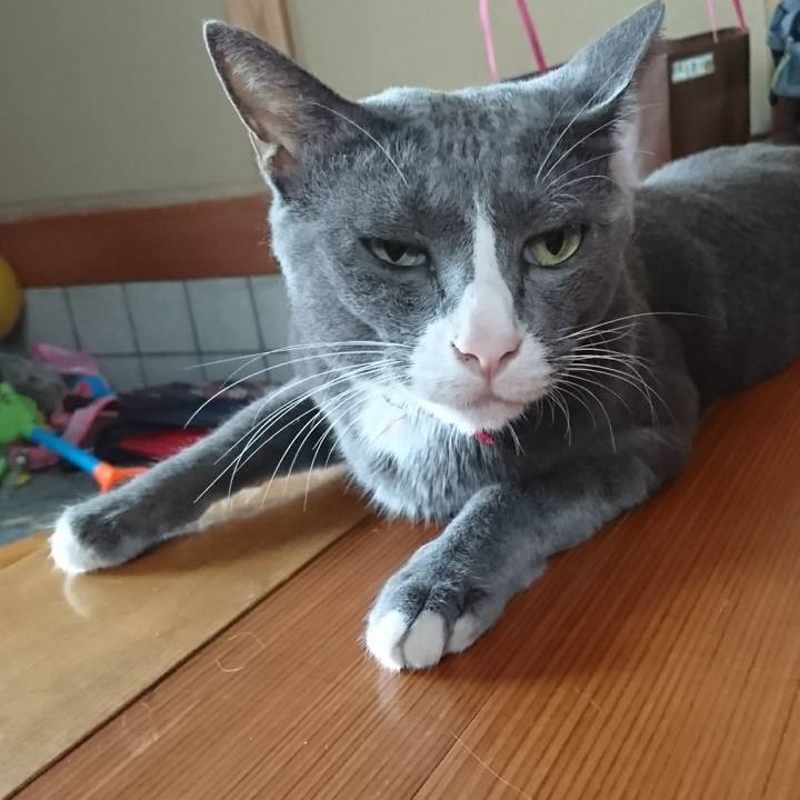 D8c5188b 2d90 4674 9275 65c9547ee126