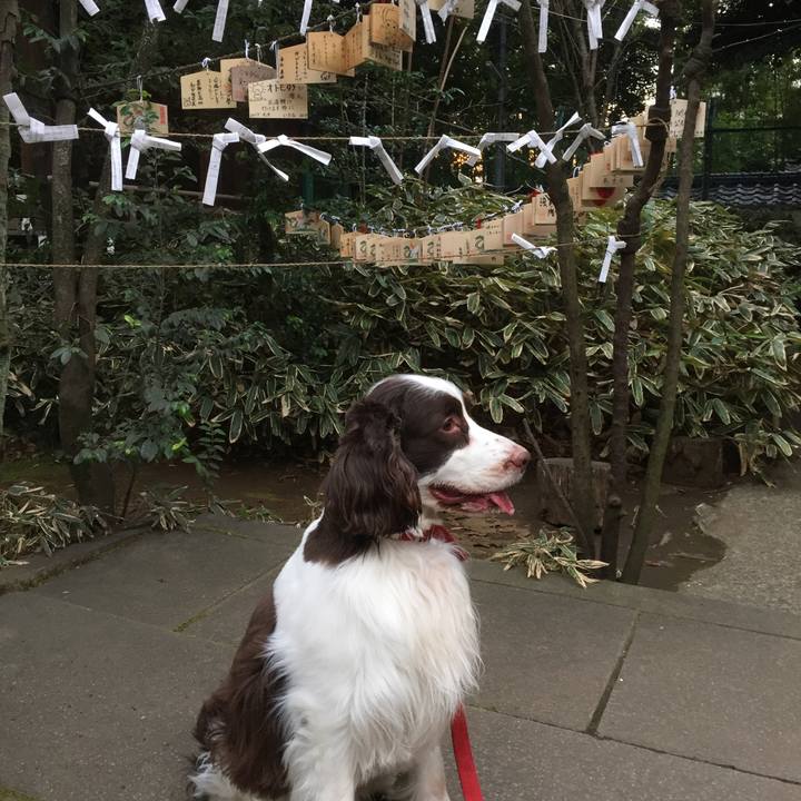 D8c53403 fed7 4ac3 be6b a660f42b01ac