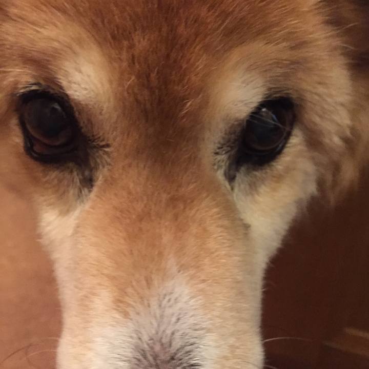 D8c538eb 4e2e 4571 b182 e332c1d78910