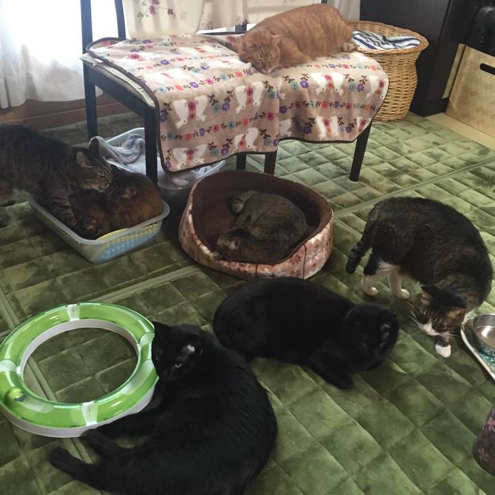 D8c54323 5ef8 465a 87fb 5cf23a5530d4