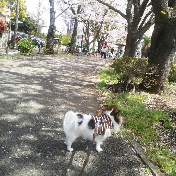 D8c6366b 3015 4cf1 bbda fce814be9458