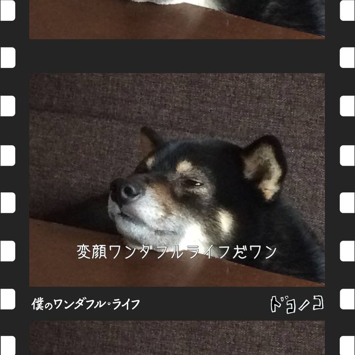 D8c6fa1d 2d1b 438b 99e8 36472d5e016a