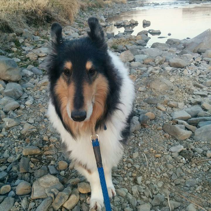 D8c9fd9a 00a4 4134 9cf5 fb727eec955a