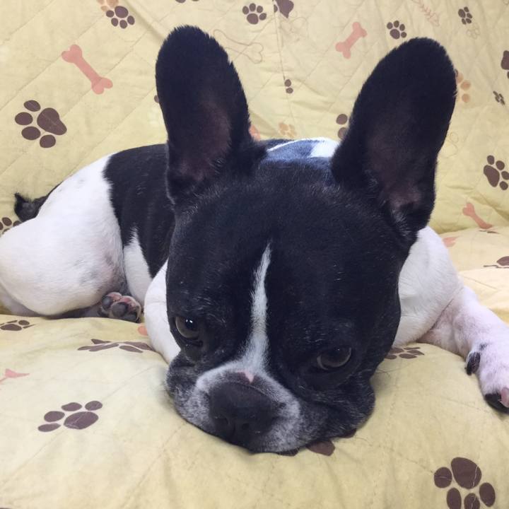 D8ca6477 d18b 4457 b0ed 92f44bf4a9cc