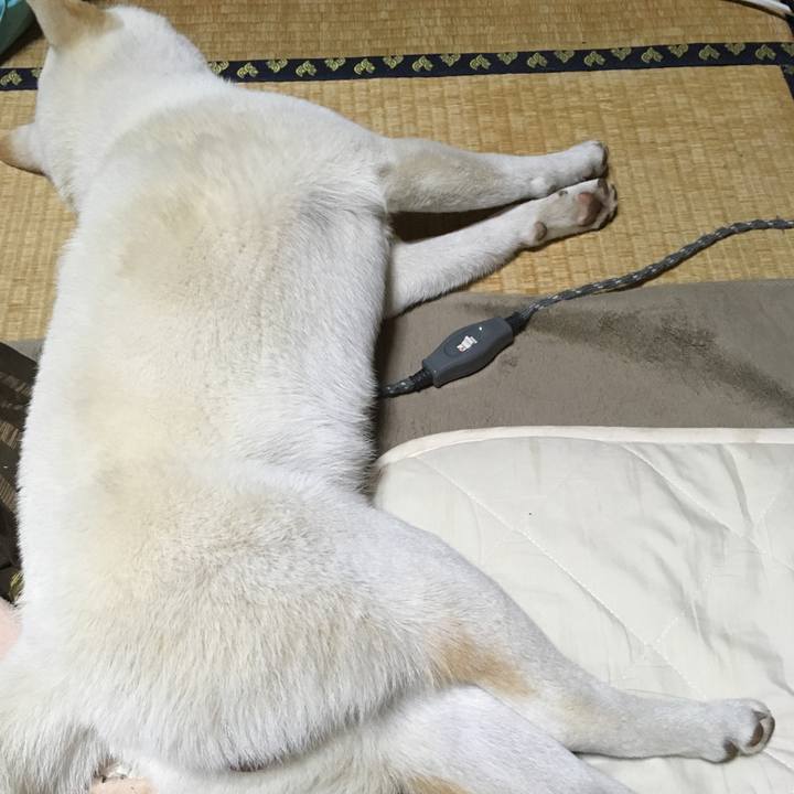 D8ca7470 d7c5 4d5a a468 165e0ba284e4