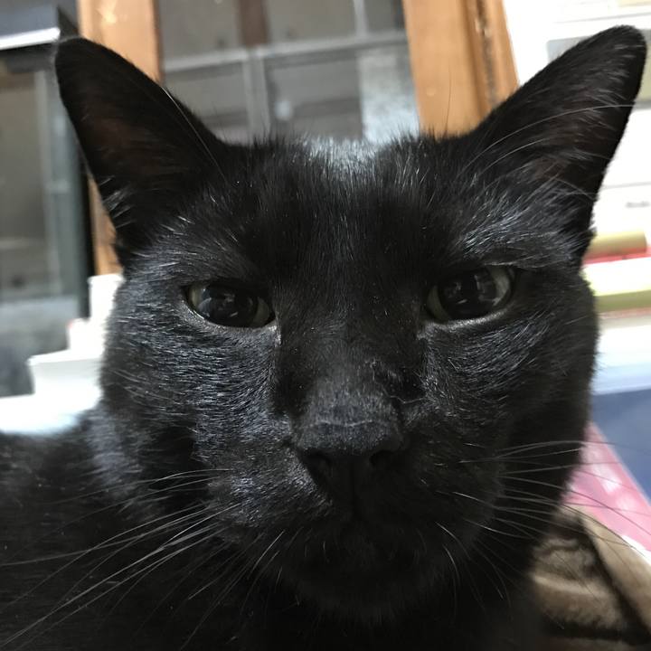 D8cadbb3 2fc0 4216 a611 c43263497c5b