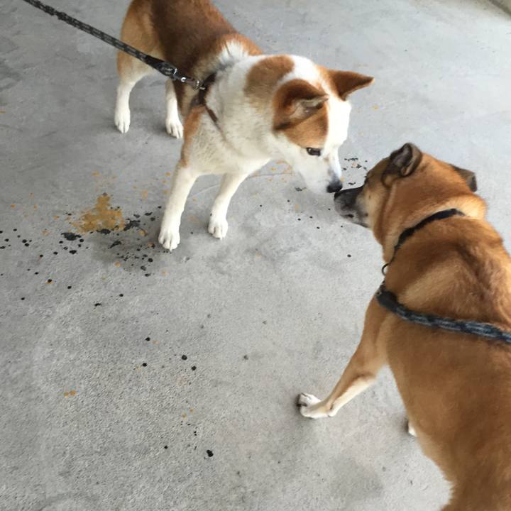 D8cb0eb8 fc06 457c a357 128f8b451d20