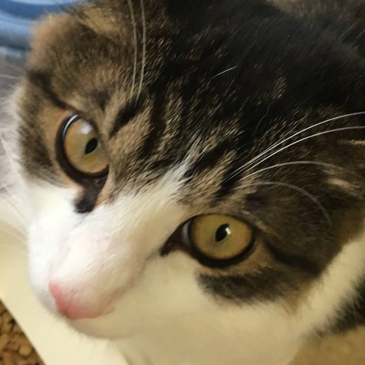 D8cb78e1 387c 4cf8 92ea 3d171fbd527e