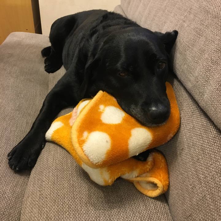 D8cb7a47 616a 49e7 ab4d 44ff71a5a898