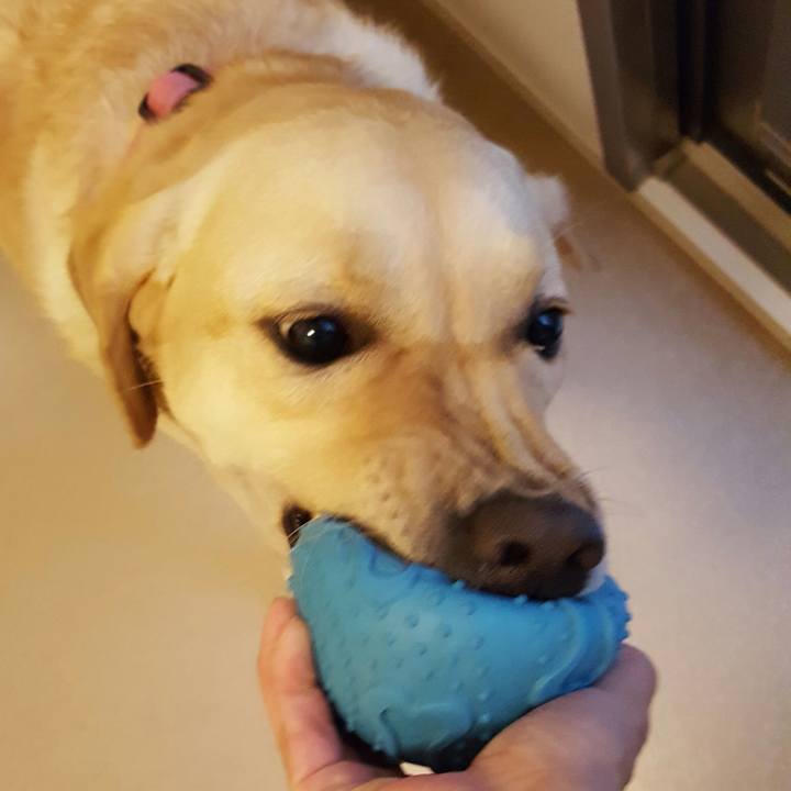 D8cbe6cd cd38 4b7b aa3b d598224a4ade