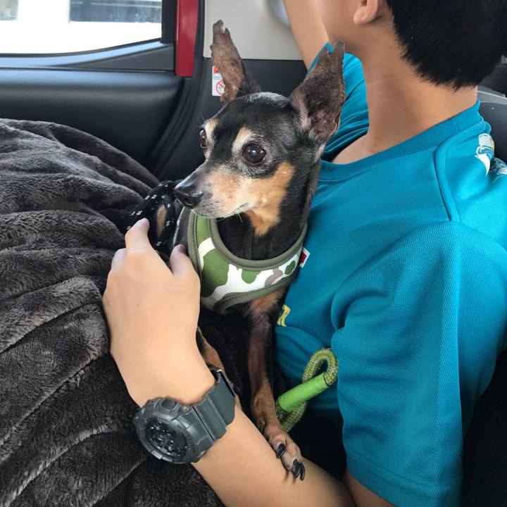 D8cbf717 9d30 412b a23b 0a93b63aaccf