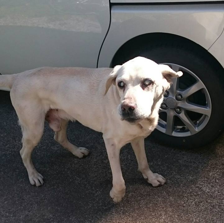 D8cce562 8975 4fbe b927 c73f62ca32b4