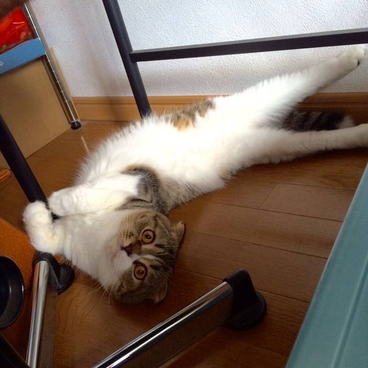 D8ccec66 bb5b 480e 8fa0 1157f769da70