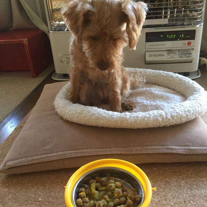 D8ccfaab 0dca 473a bedb 2108d37ea153